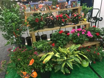 2018 Corpus Christi Home & Garden Show