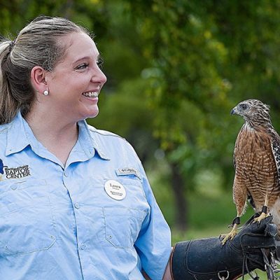 RAPTOR TRAINER-min RAPTOR TRAINER-min