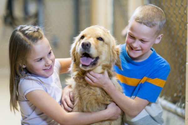 Kids adopting a dog from the animal shelter.