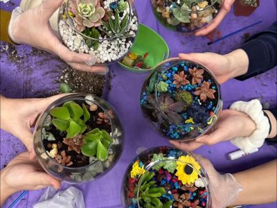 plants
